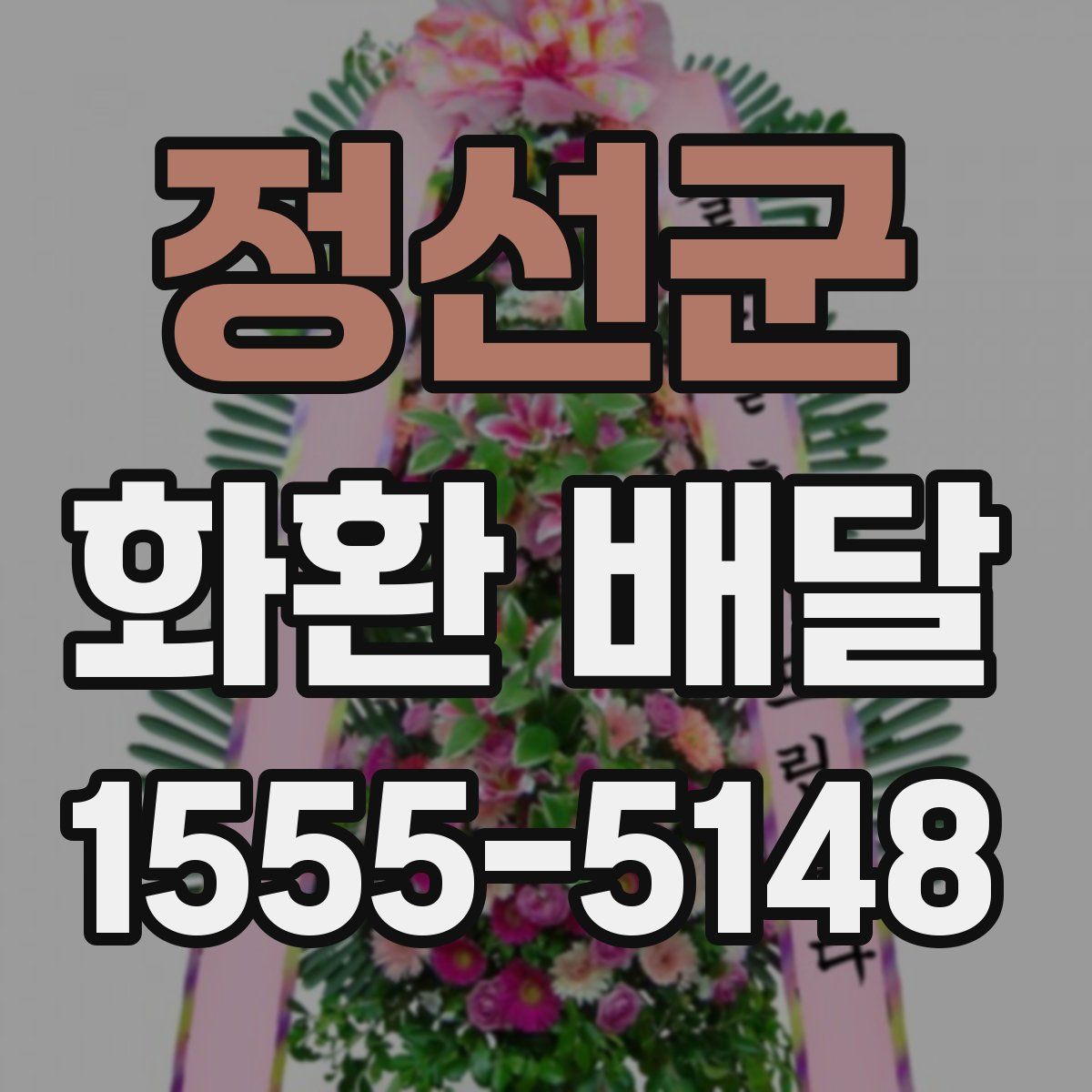 정선군 화환 배달