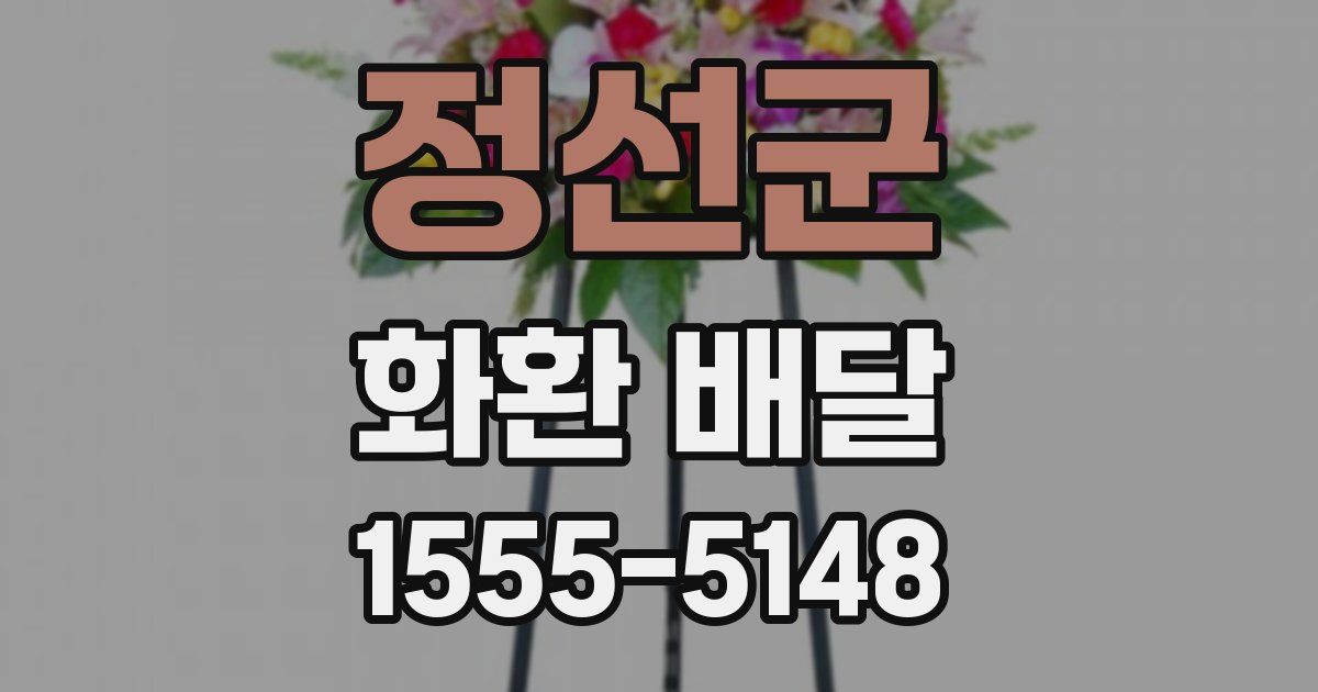정선군 화환 배달