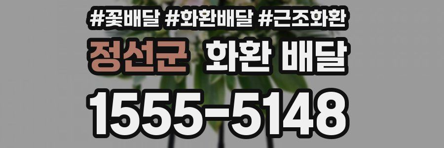 정선군 화환 배달