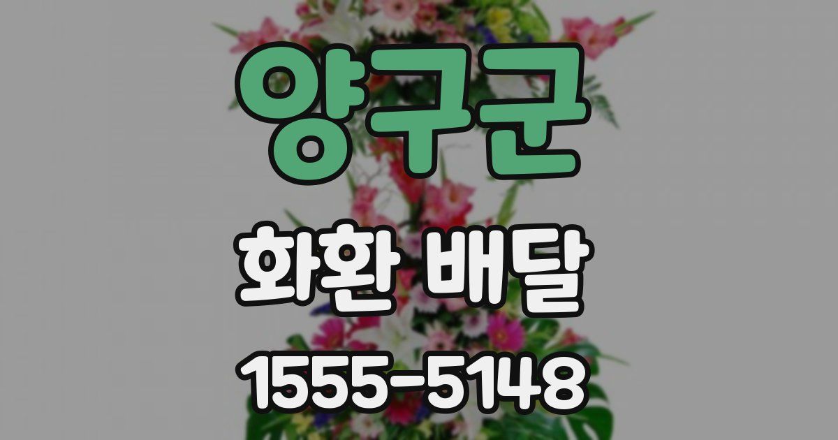 양구군 화환 배달