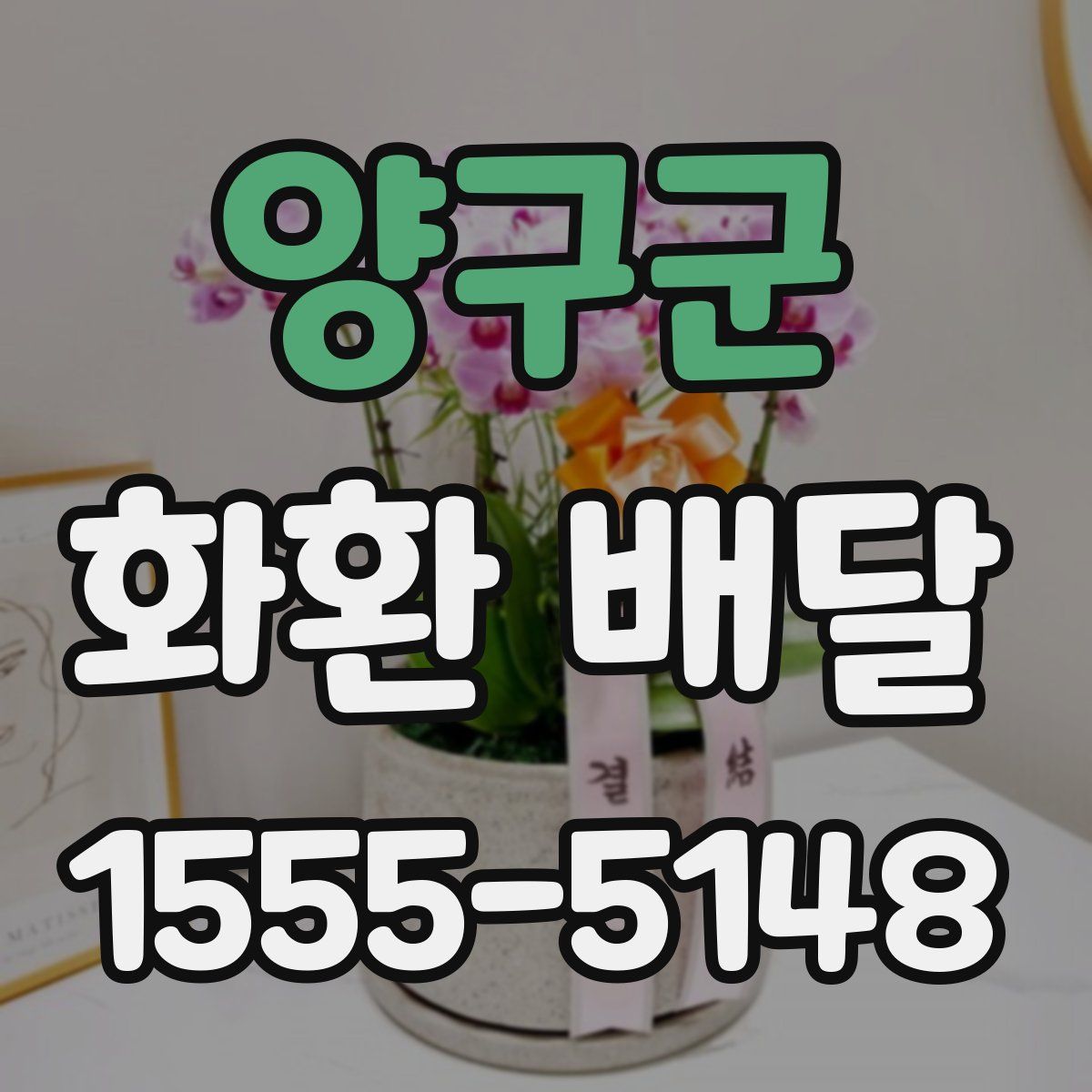 양구군 화환 배달