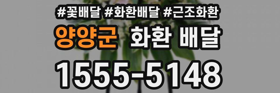 양양군 화환 배달