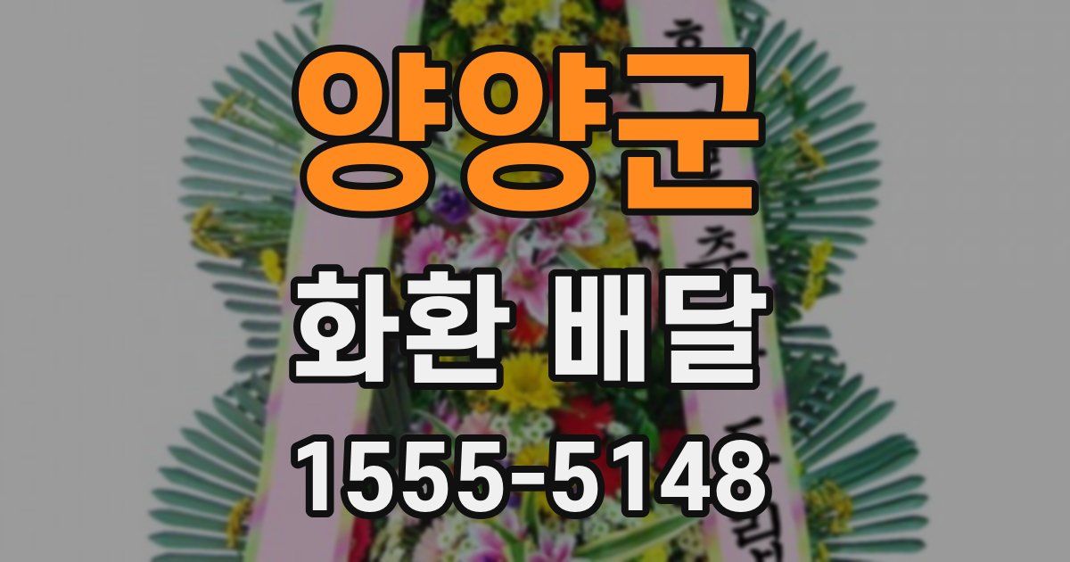 양양군 화환 배달