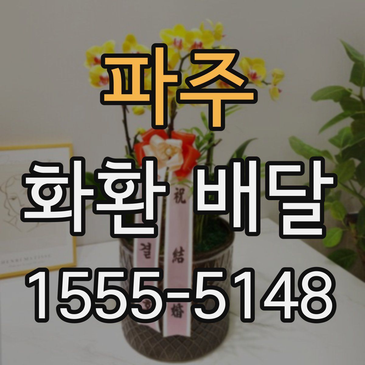 파주 화환 배달