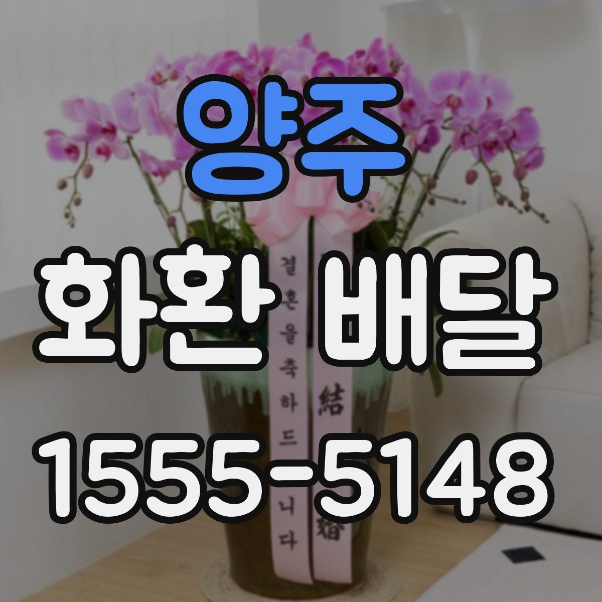 양주 화환 배달