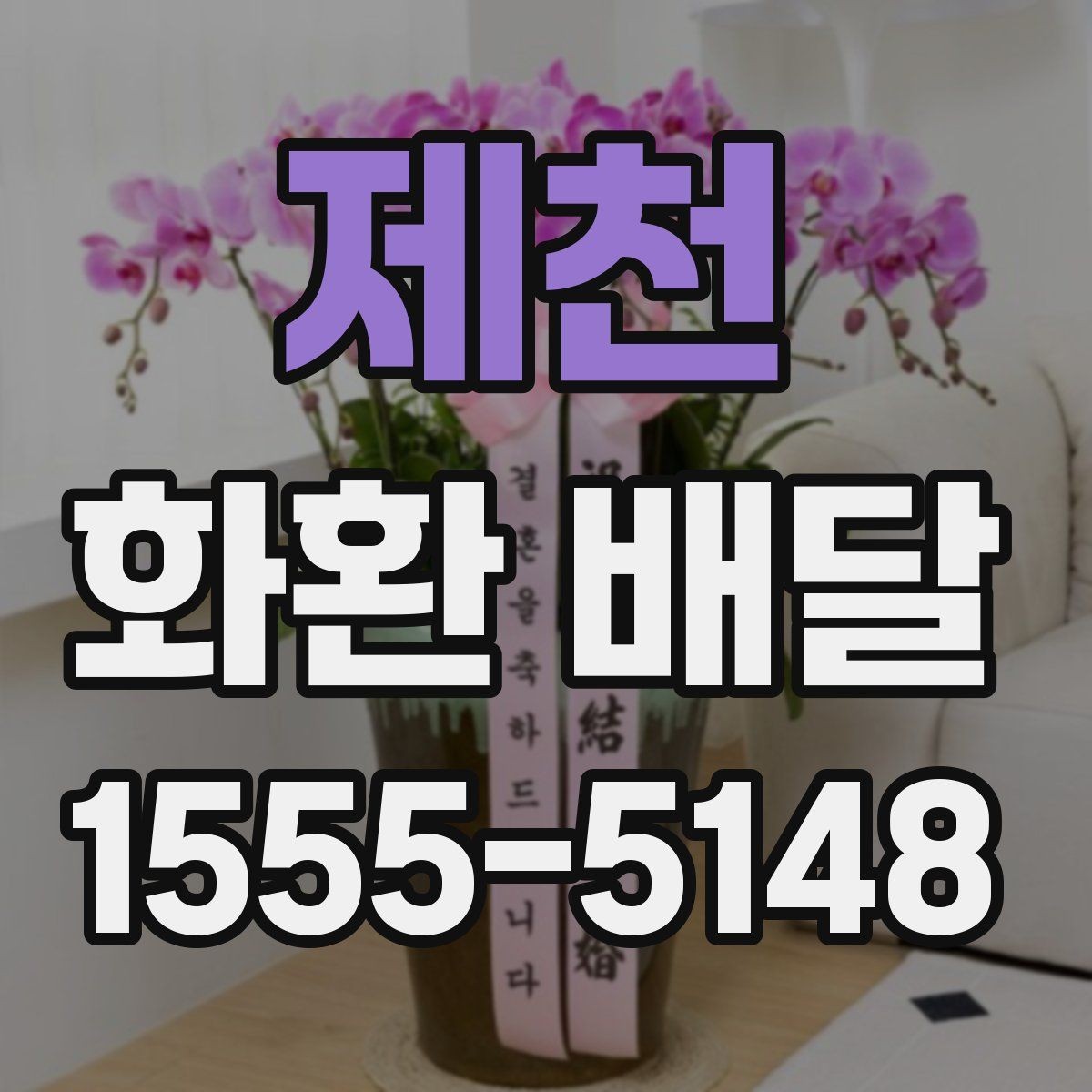 제천 화환 배달 상품 비교 시 보기 좋은 항목 정리