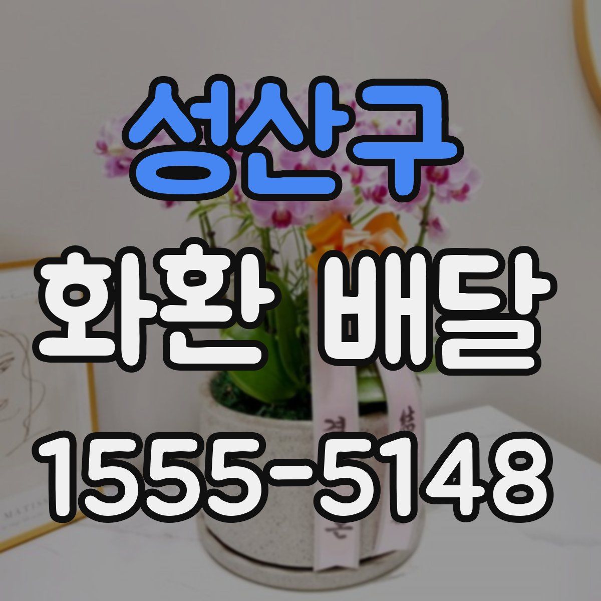 성산구 화환 배달