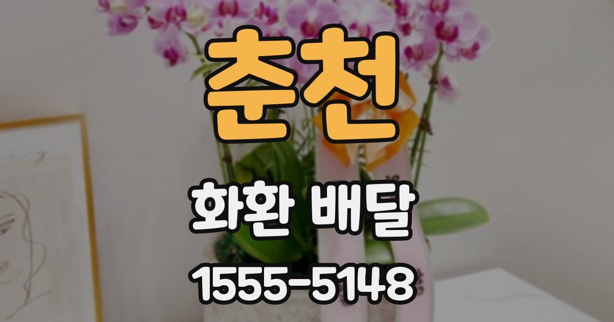 춘천 화환 배달