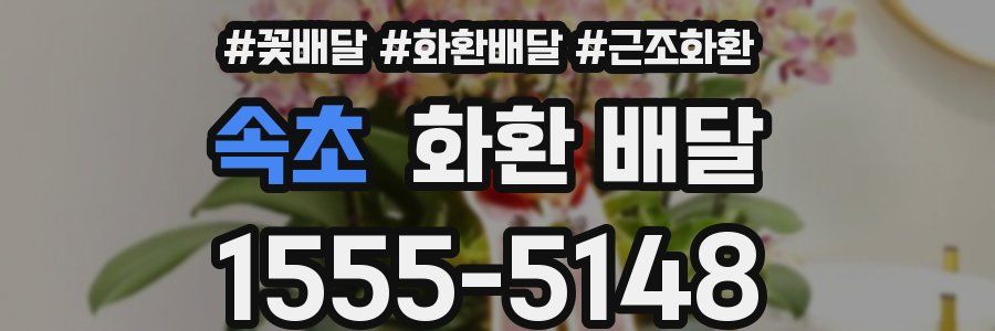 속초 화환 배달