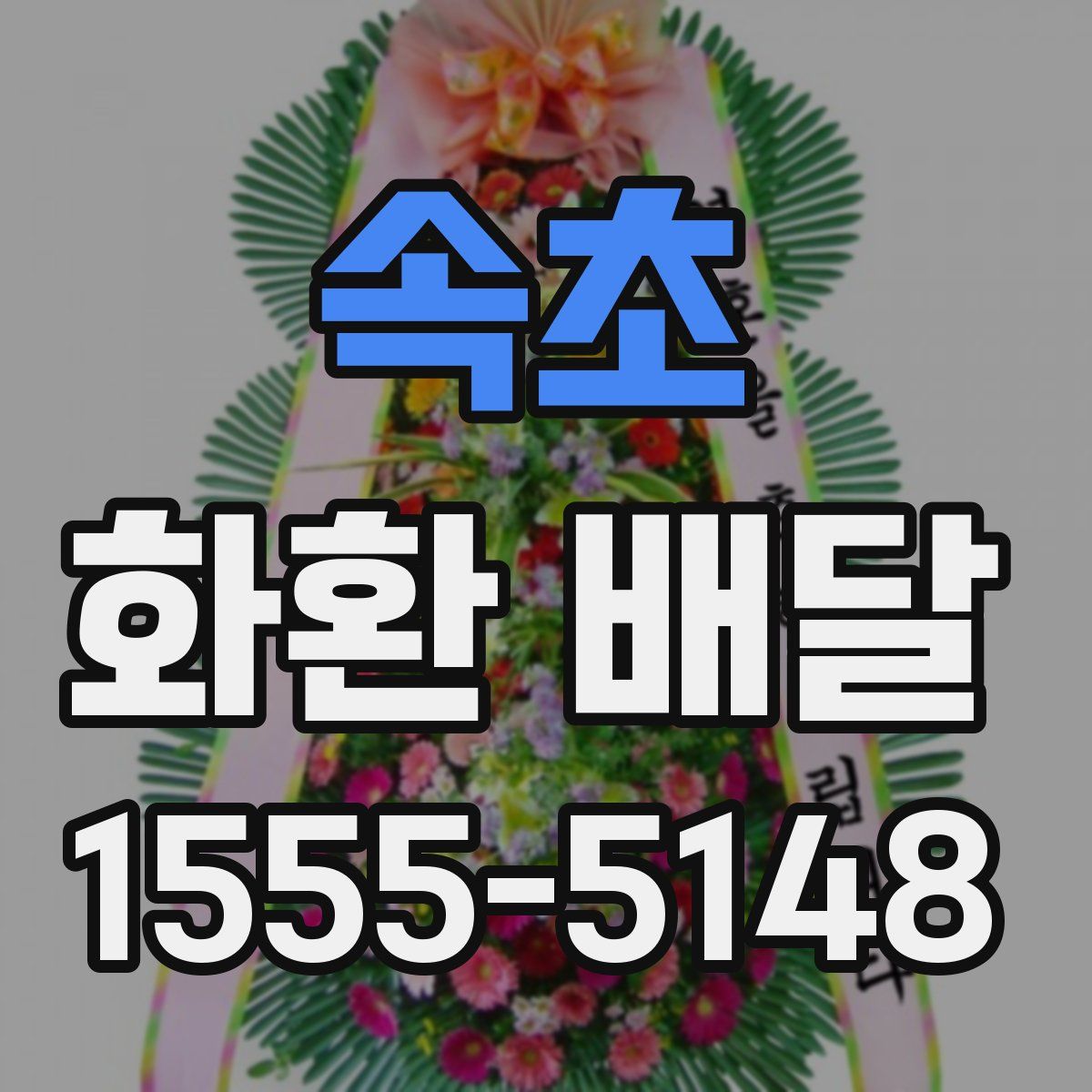 속초 화환 배달