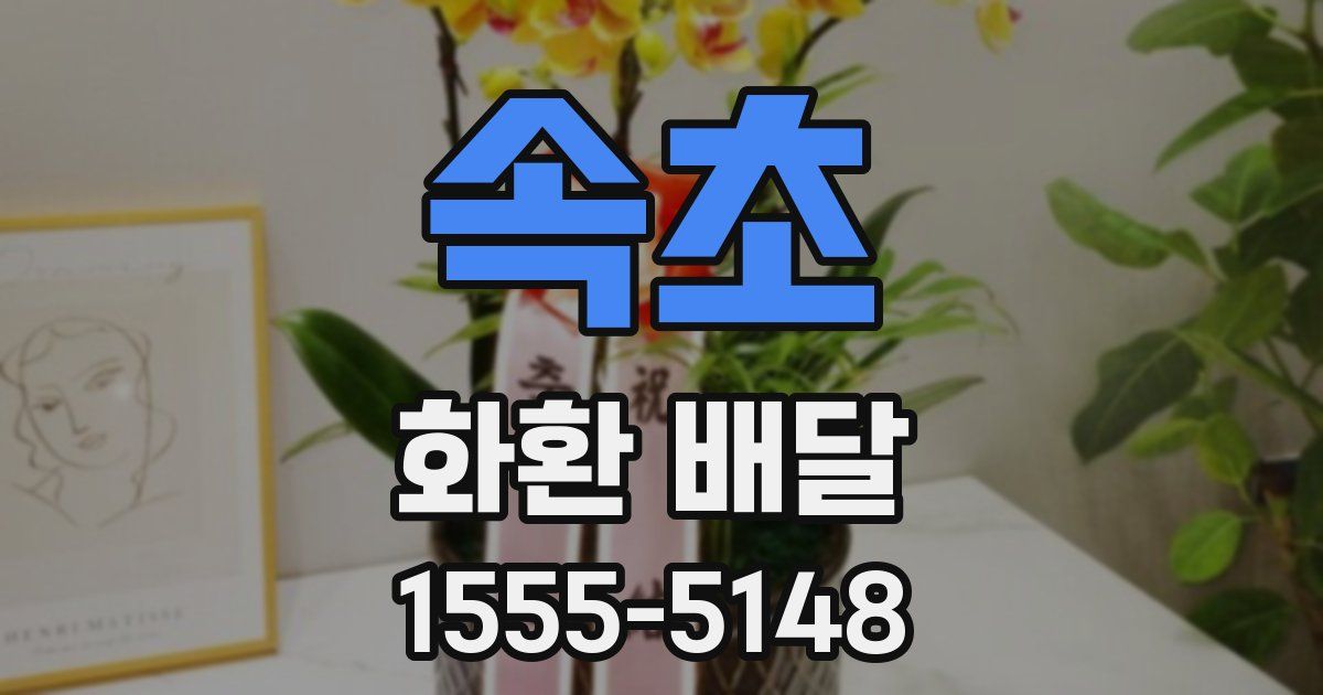 속초 화환 배달