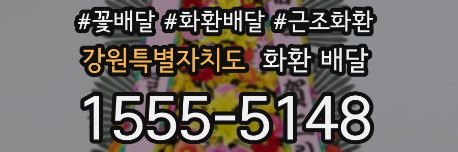 강원특별자치도 화환 배달