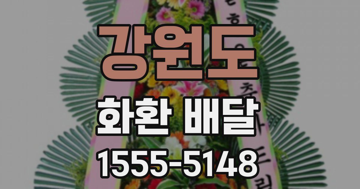 강원도 화환 배달