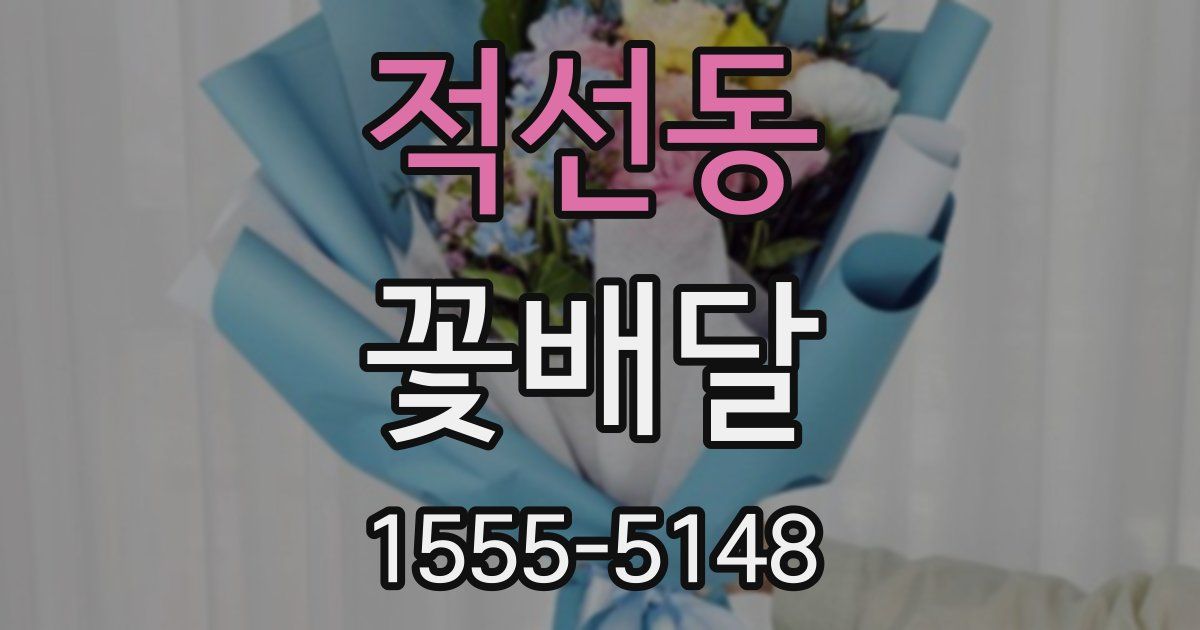적선동 꽃배달
