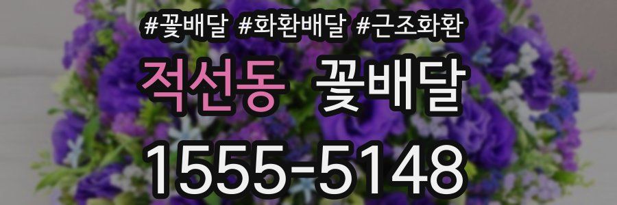 적선동 꽃배달