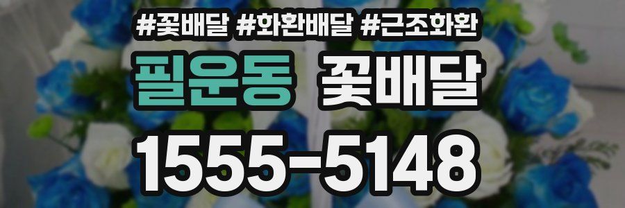 필운동 꽃배달