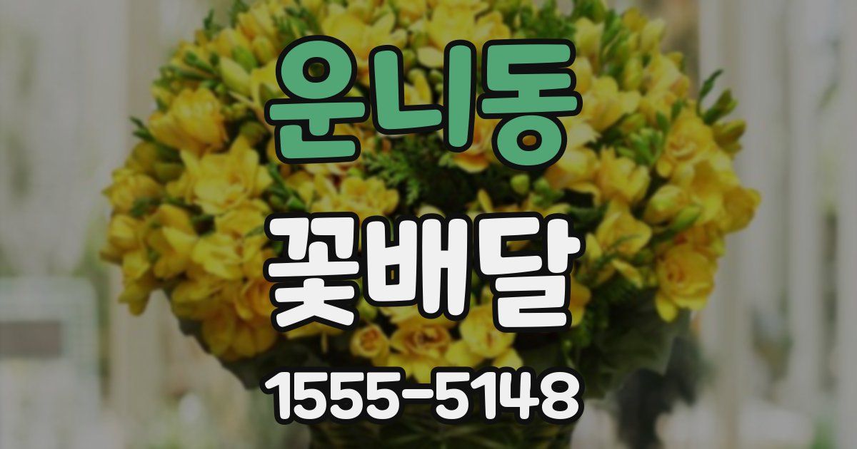 운니동 꽃배달