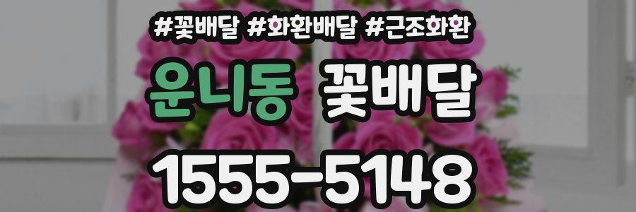 운니동 꽃배달