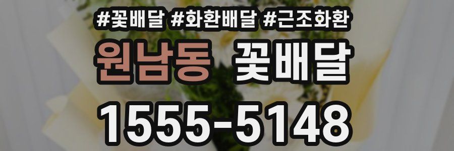 원남동 꽃배달
