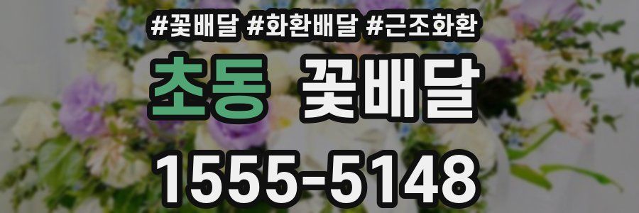 초동 꽃배달