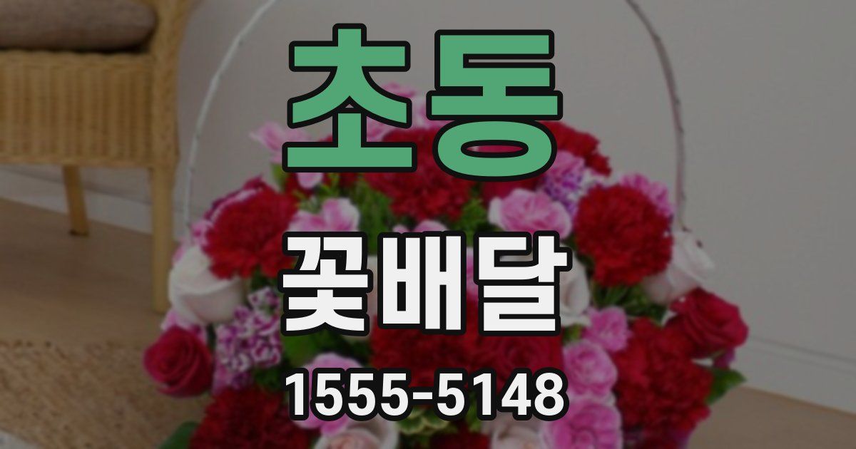 초동 꽃배달