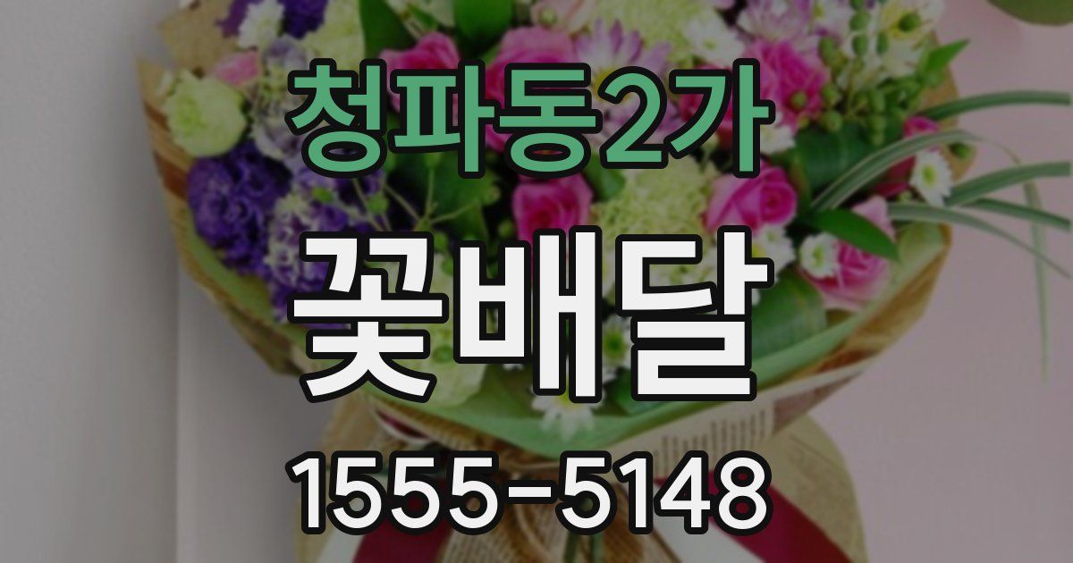 청파동2가 꽃배달