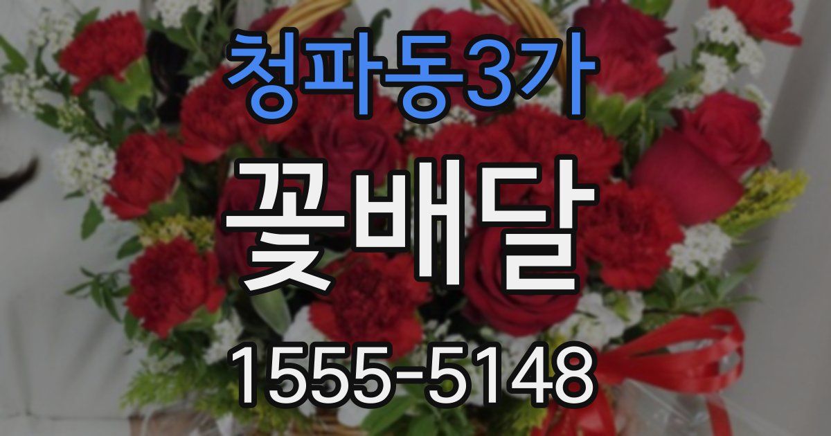 청파동3가 꽃배달