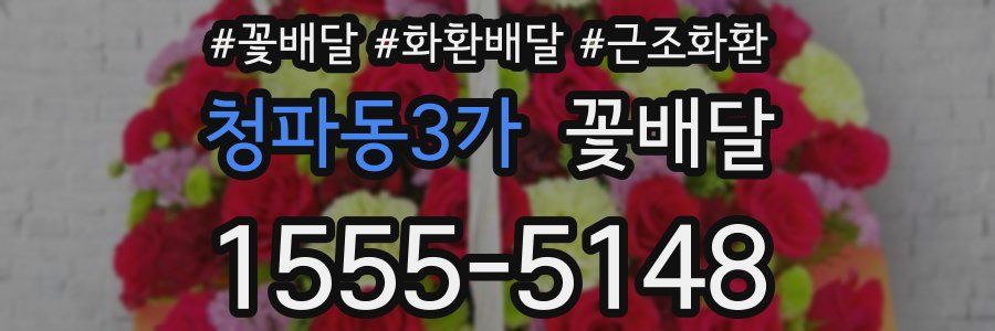 청파동3가 꽃배달
