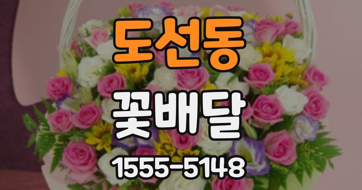 도선동 꽃배달