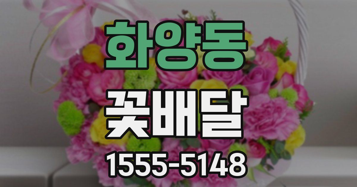화양동 꽃배달