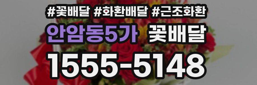 안암동5가 꽃배달