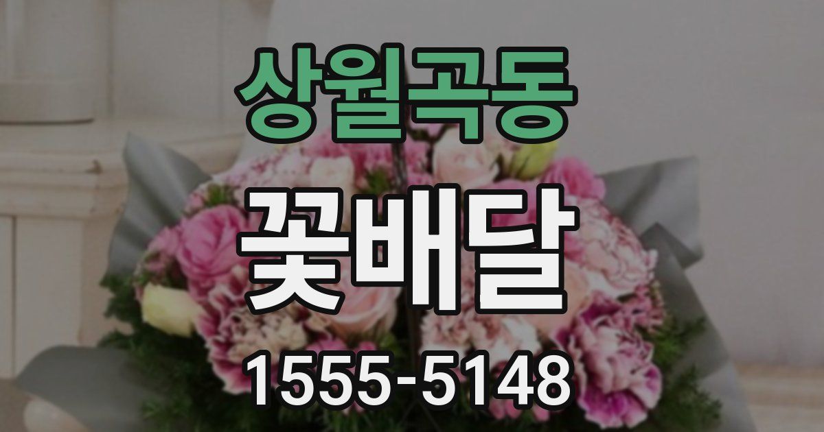 상월곡동 꽃배달