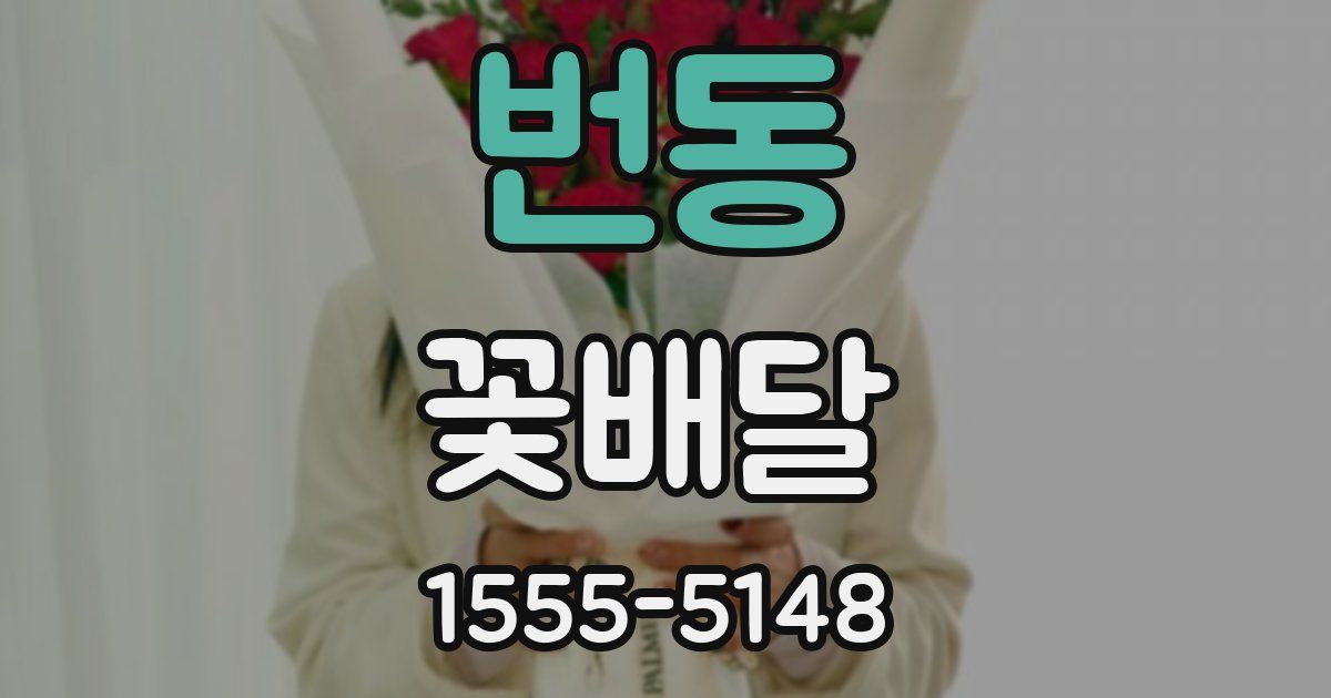 번동 꽃배달