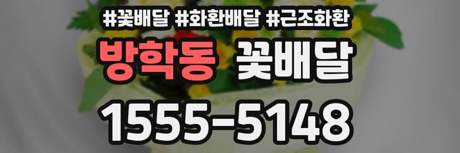 방학동 꽃배달