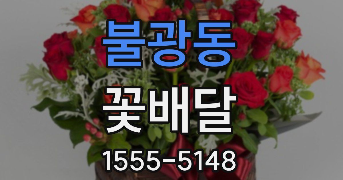불광동 꽃배달