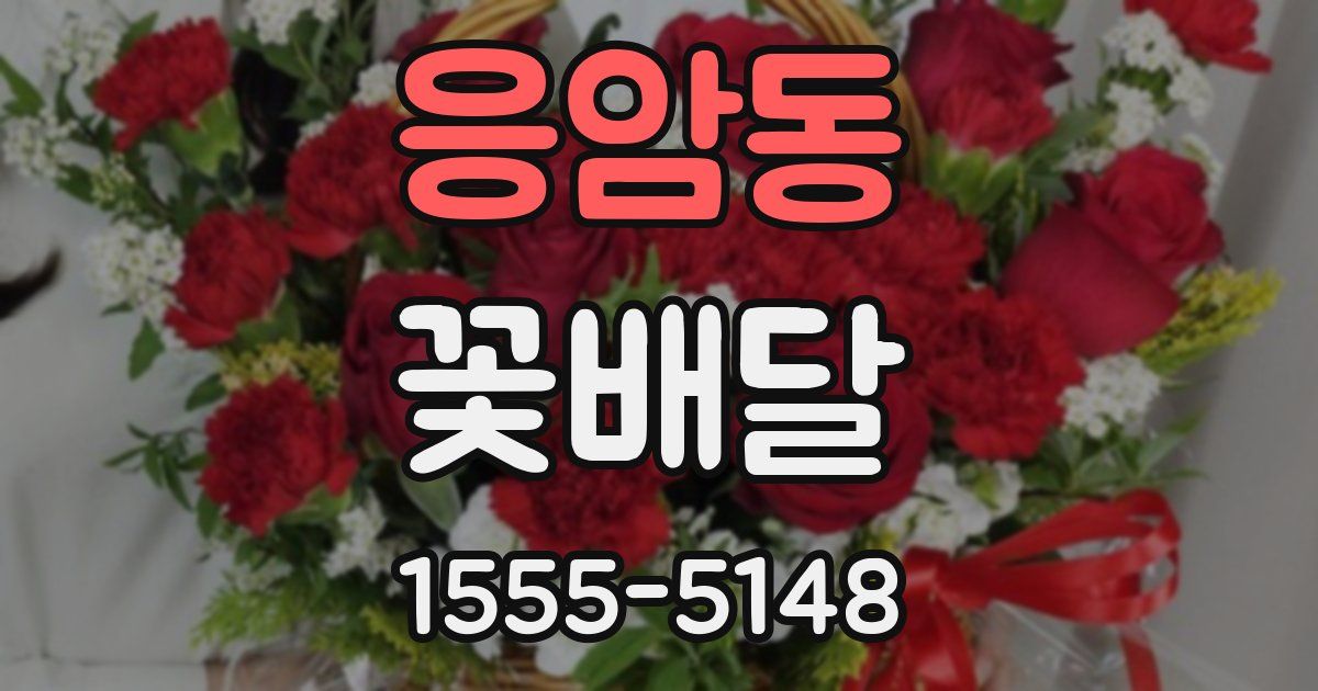 응암동 꽃배달