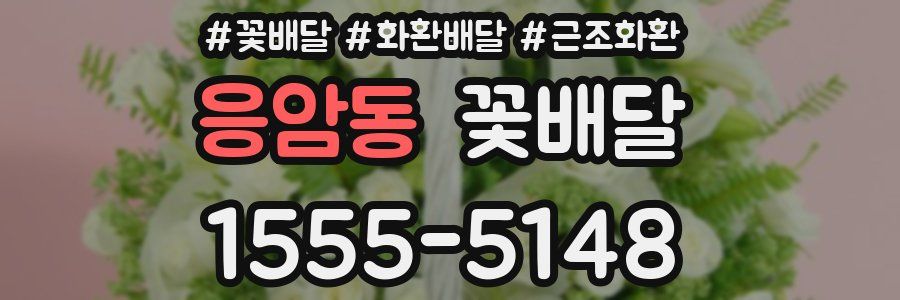 응암동 꽃배달