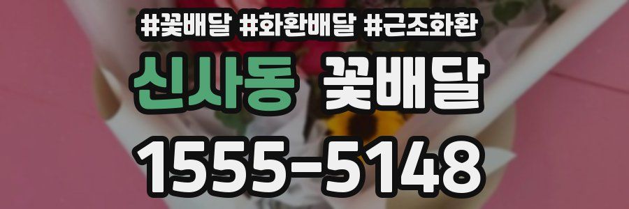 신사동 꽃배달