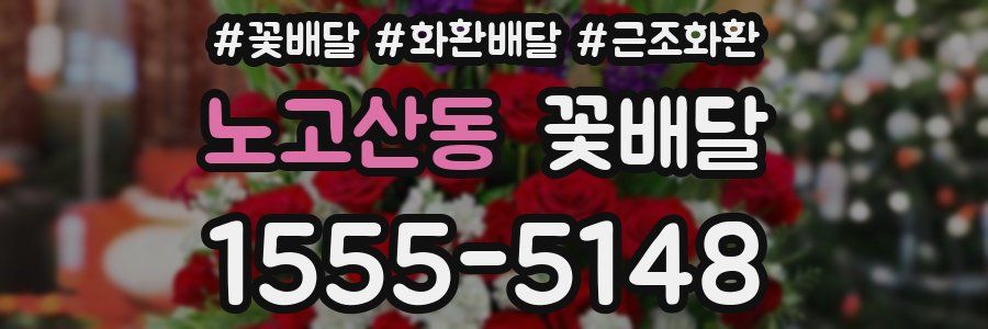 노고산동 꽃배달