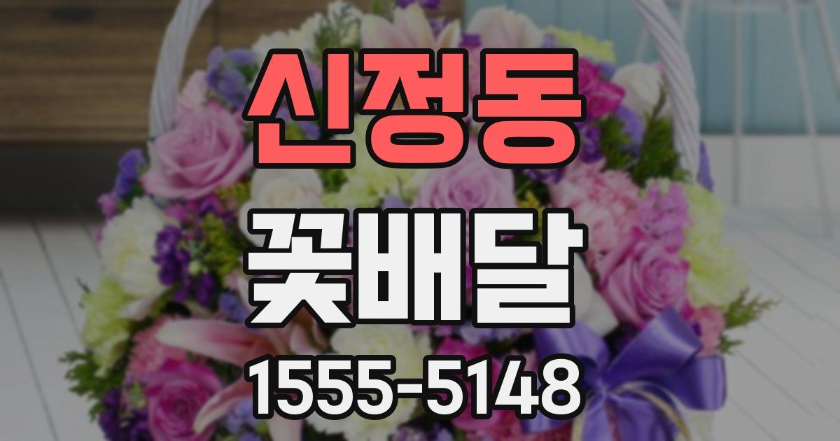 신정동 꽃배달