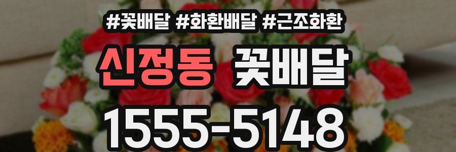 신정동 꽃배달