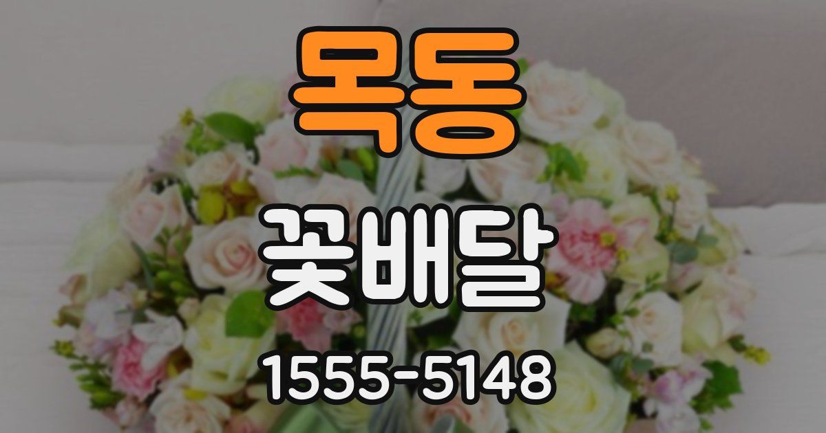 목동 꽃배달