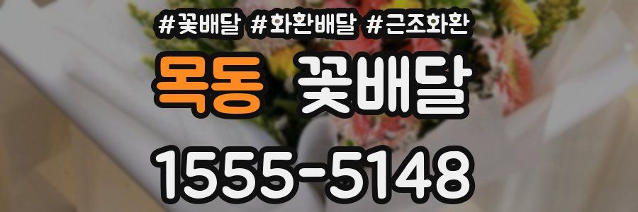 목동 꽃배달