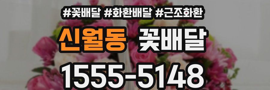 신월동 꽃배달