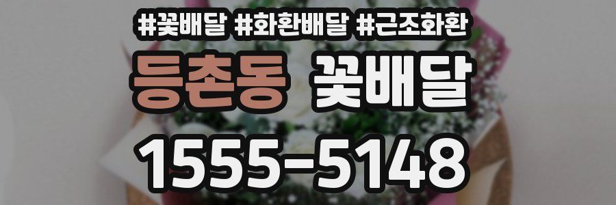 등촌동 꽃배달