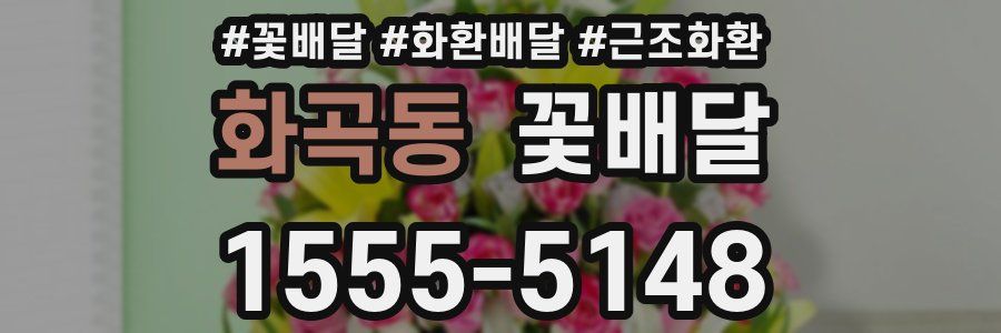 화곡동 꽃배달