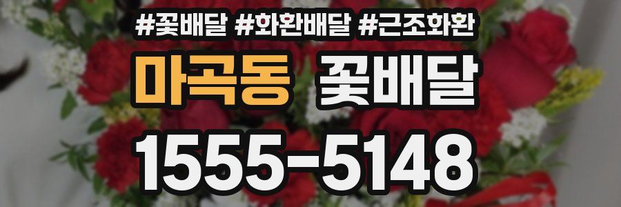 마곡동 꽃배달