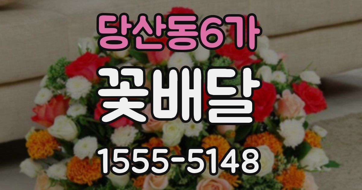 당산동6가 꽃배달