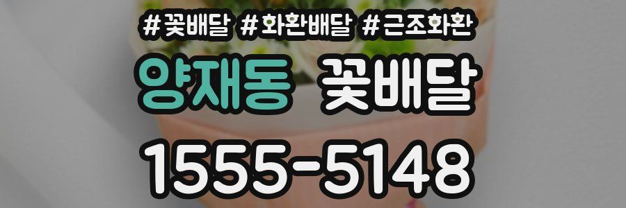 양재동 꽃배달