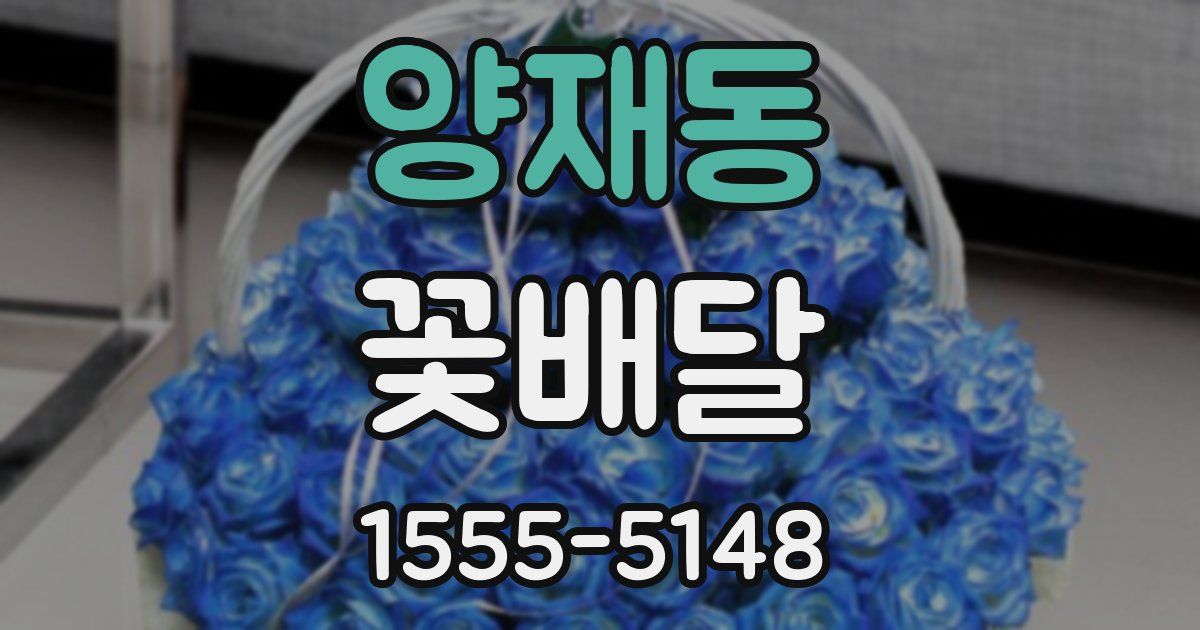 양재동 꽃배달